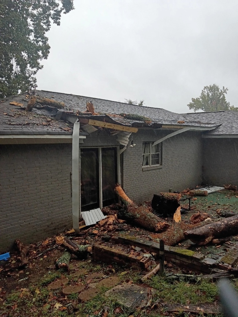 EXTERIOR: Fallen Tree on Roof